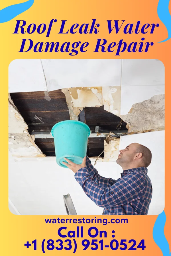 Roof Leak Water Damage Repair in Silas, AL